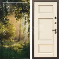 Металлическая дверь Фотопечать №212